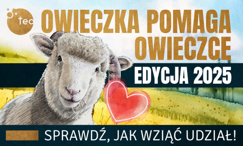 Owieczka Pomaga Owieczce 2025